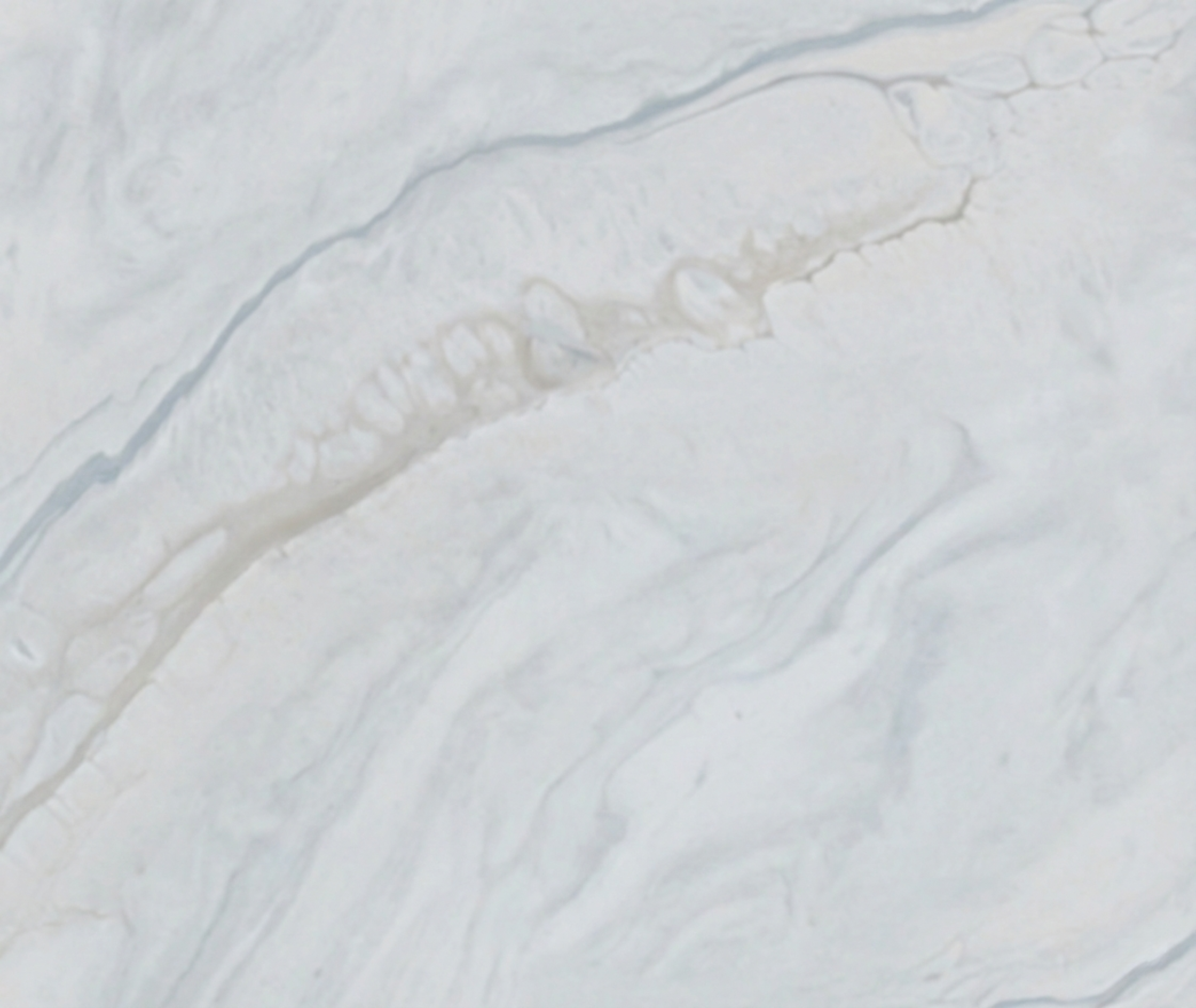 Marble Pattern FMA05